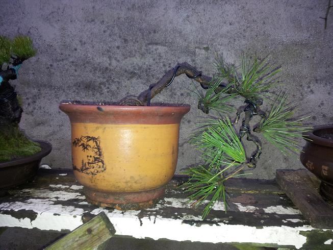 20130119_180025.jpg