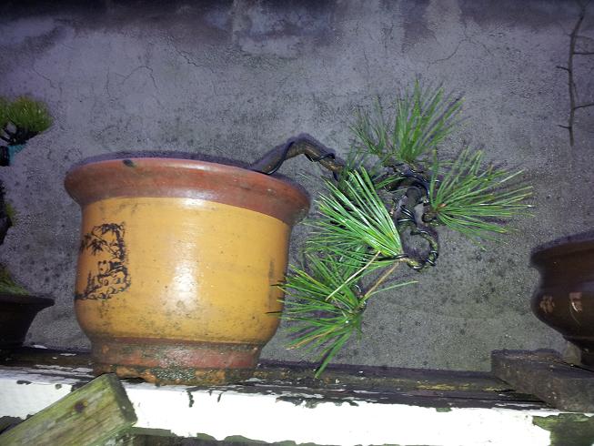 20130119_180030.jpg