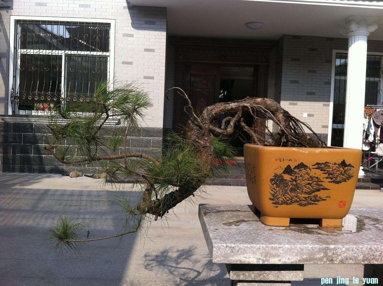 20130119ˮɽ.jpg