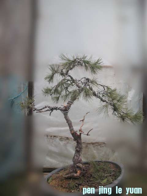2013 014_.jpg