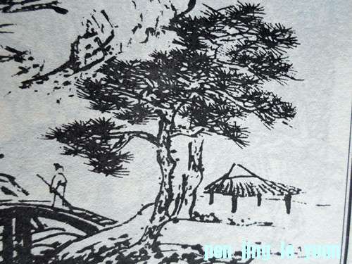 SAM_0939_.jpg