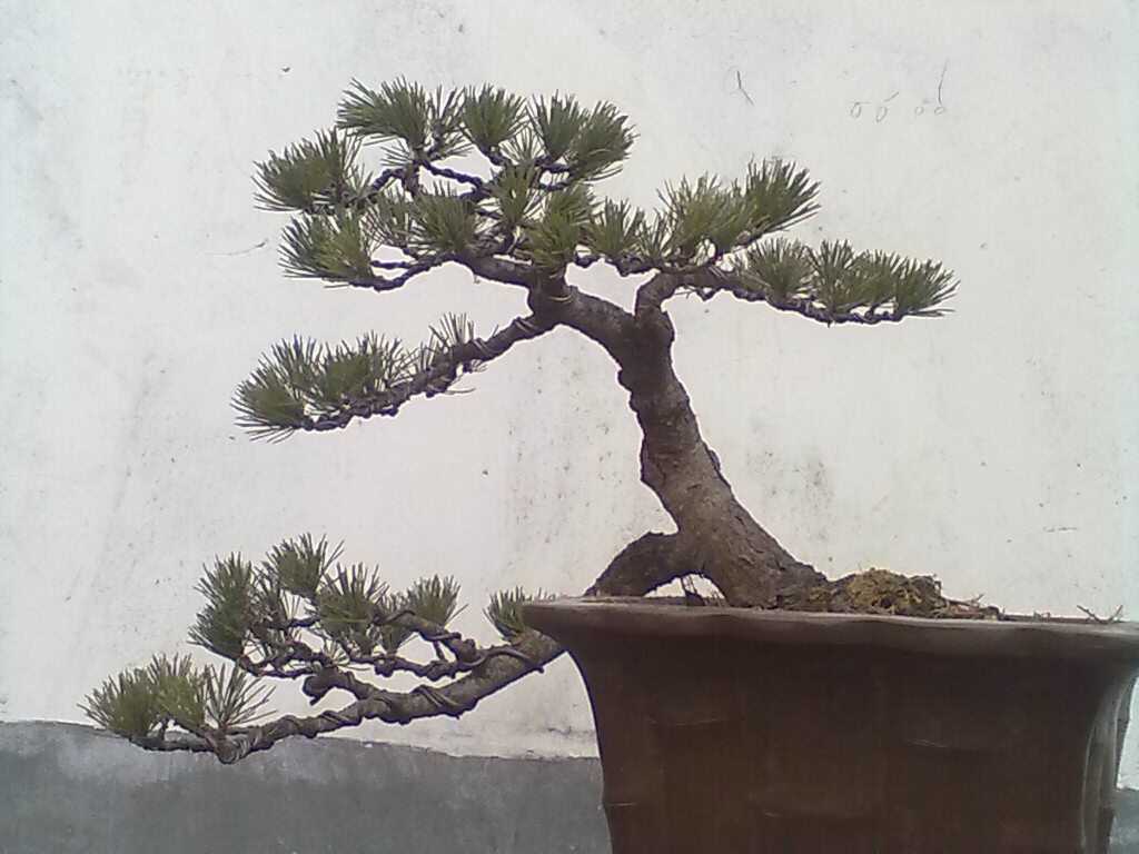 UC_Photo_1.jpg