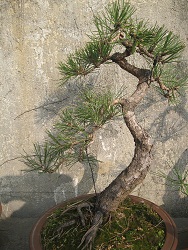 IMG_1484.JPG