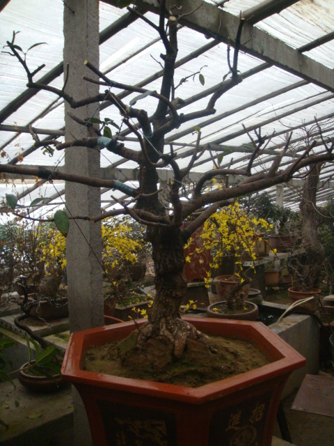 DSC02476.JPG