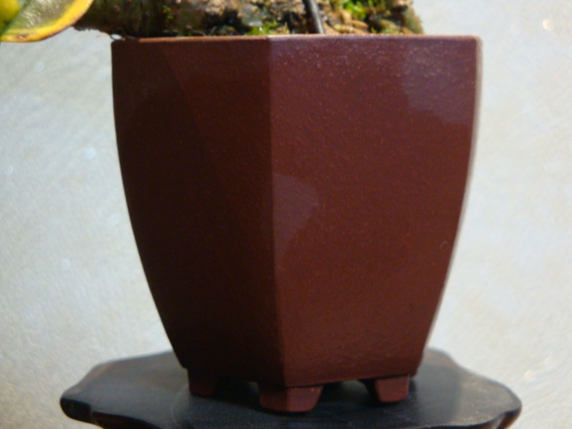 DSC01857.JPG