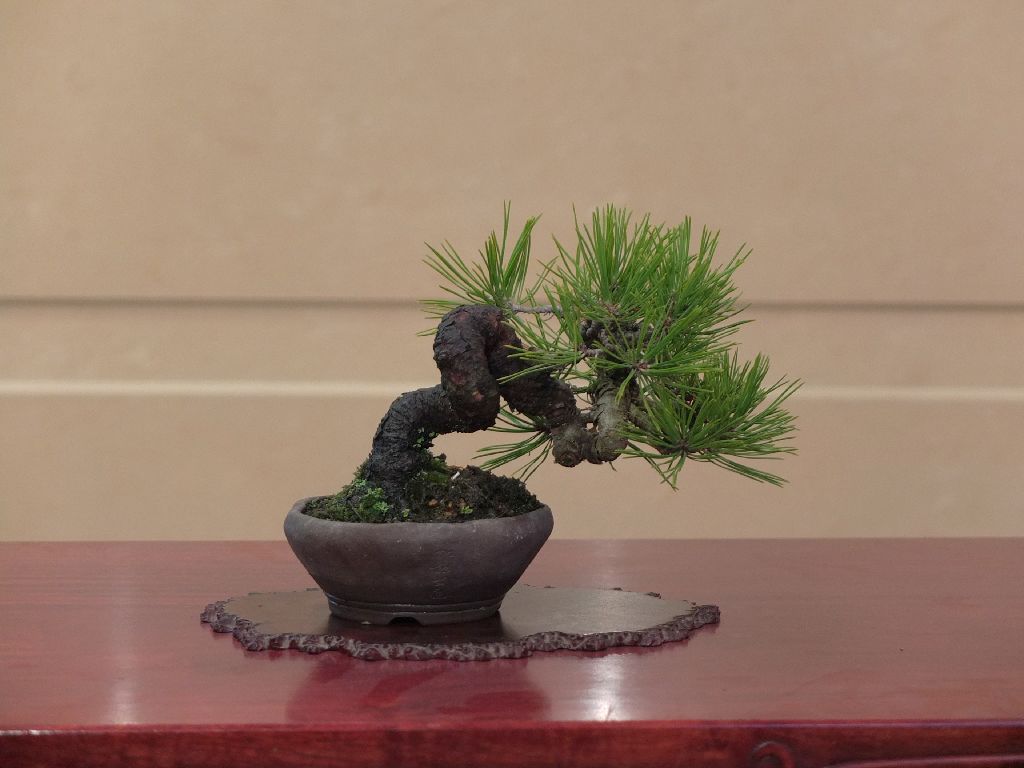 DSCF2769.jpg