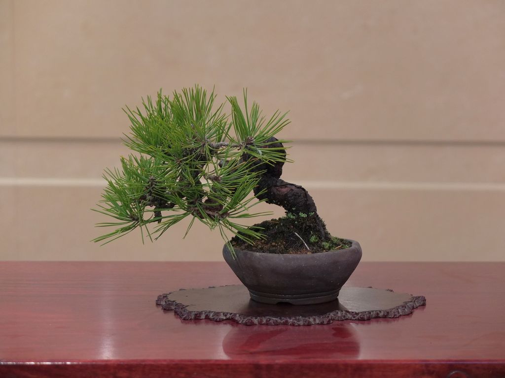 DSCF2772.jpg
