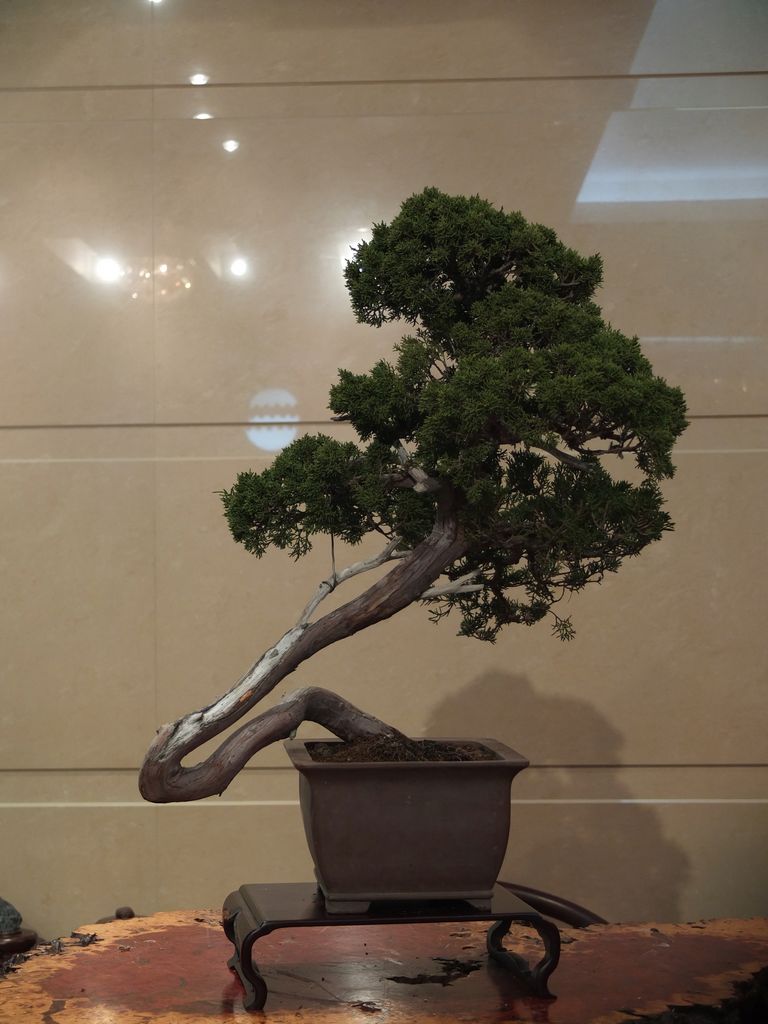 DSCF7630.jpg