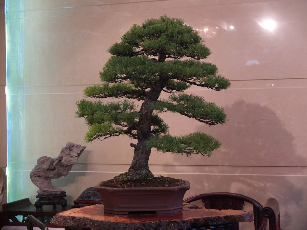 DSCF7720.jpg