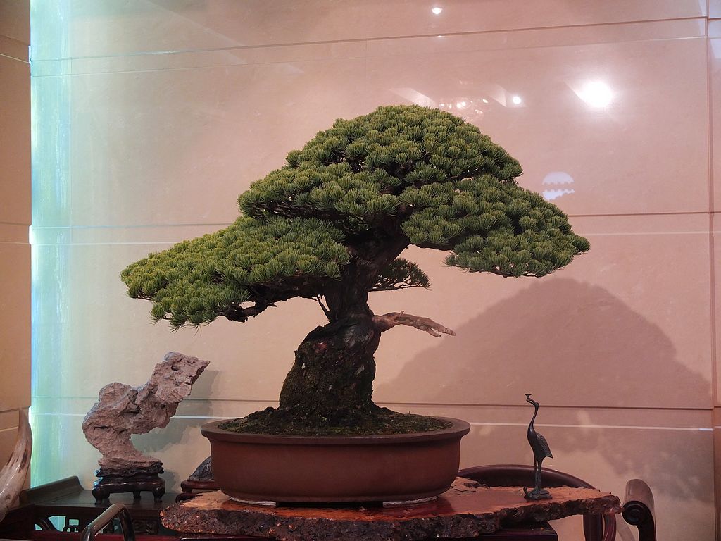 DSCF8244.jpg