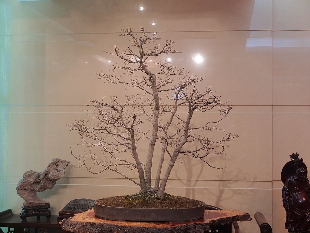 DSCF7498.jpg