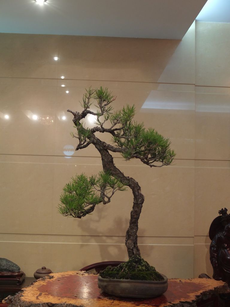 DSCF7645.jpg