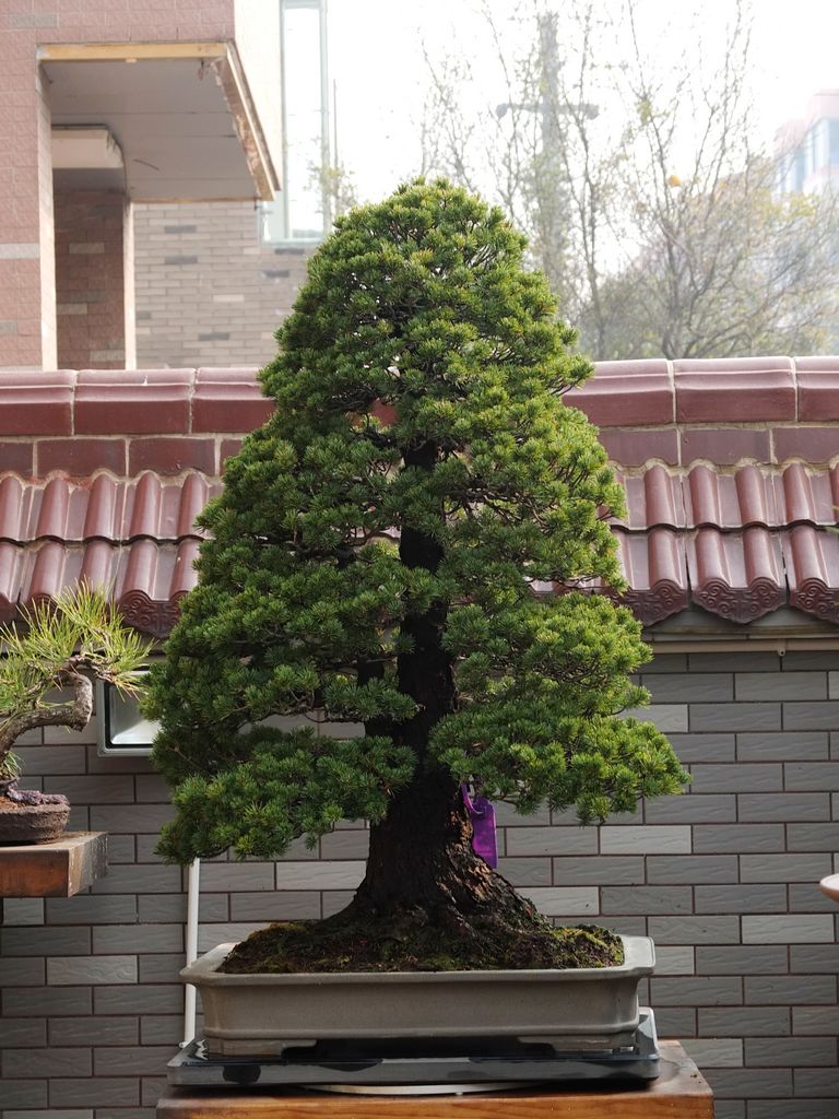 S0176218.jpg