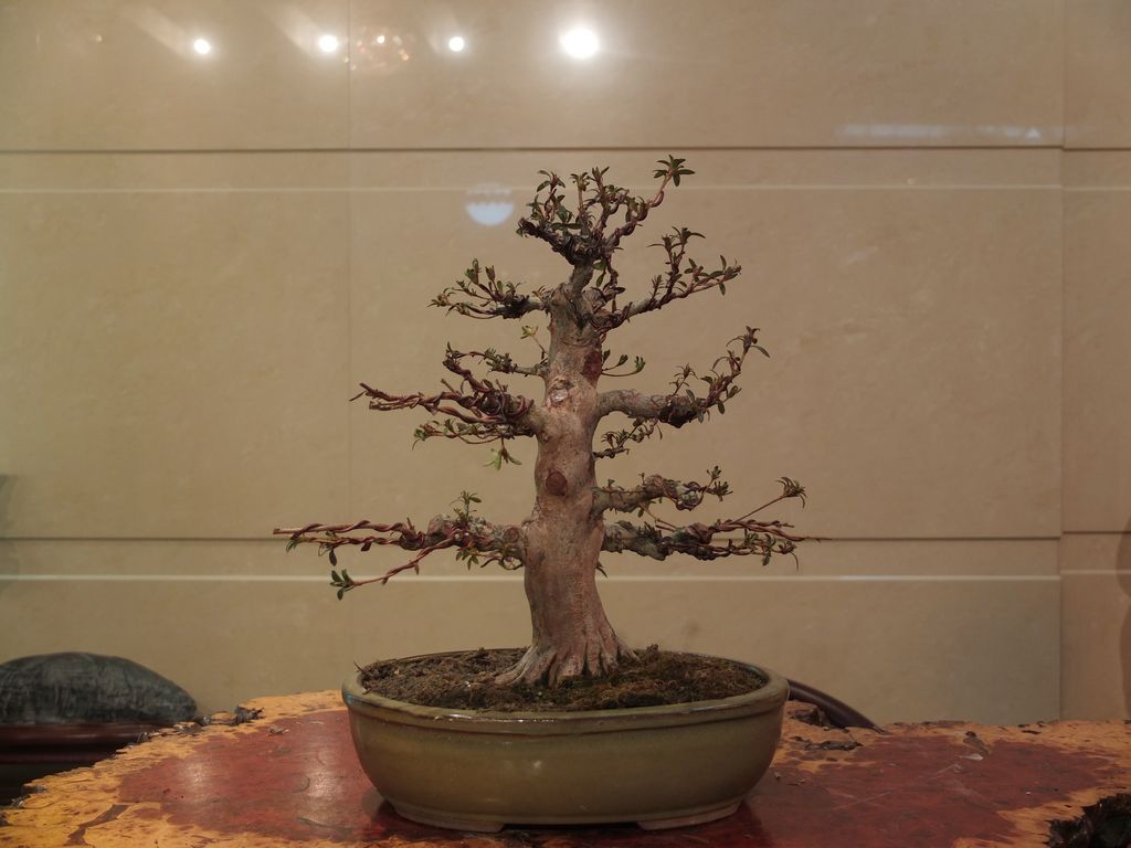 DSCF7577.jpg