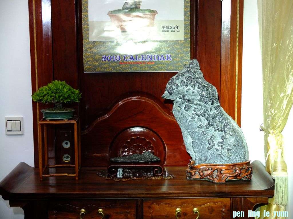 DSCF2198.jpg