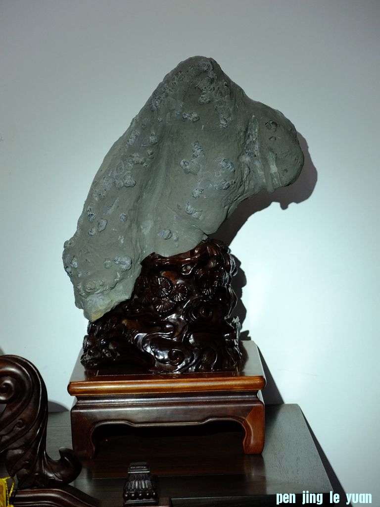 DSCF2212.jpg