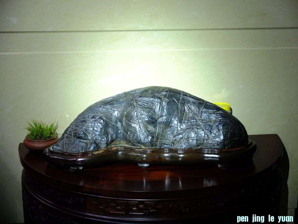 DSCF2201.jpg