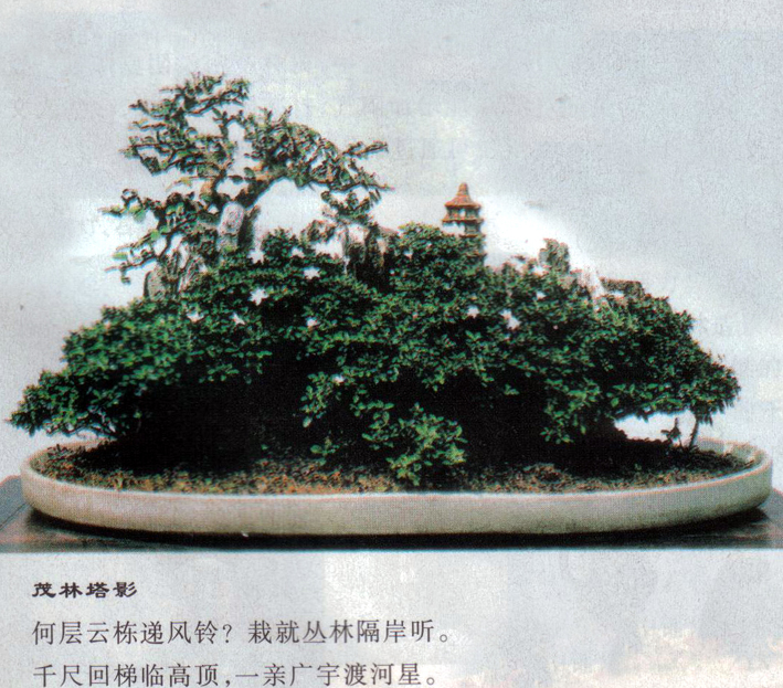  ʦ辰3.jpg