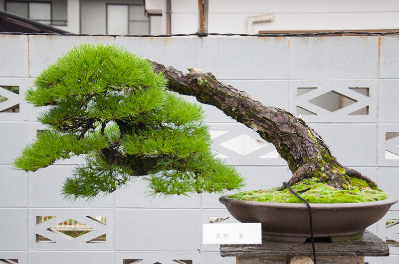 20111119-DSC_0372-L.jpg