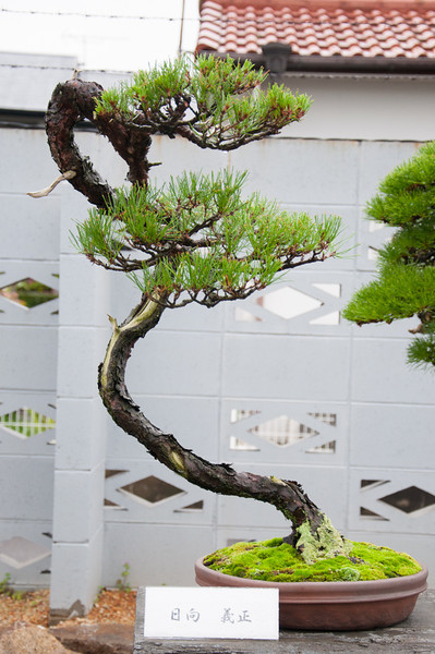 20111119-DSC_0373-L.jpg