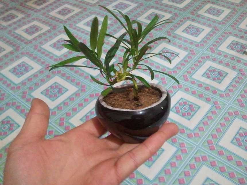2012-12-17 16.52.35.jpg