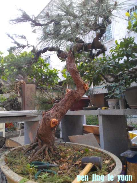 IMAG0969.jpg