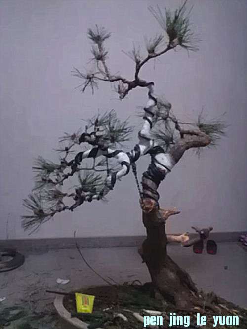IMAG1059_.jpg
