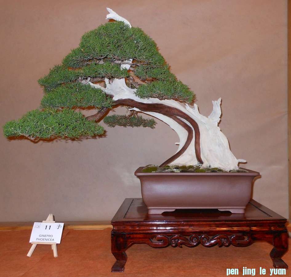 201257101914_DSCN1377.jpg