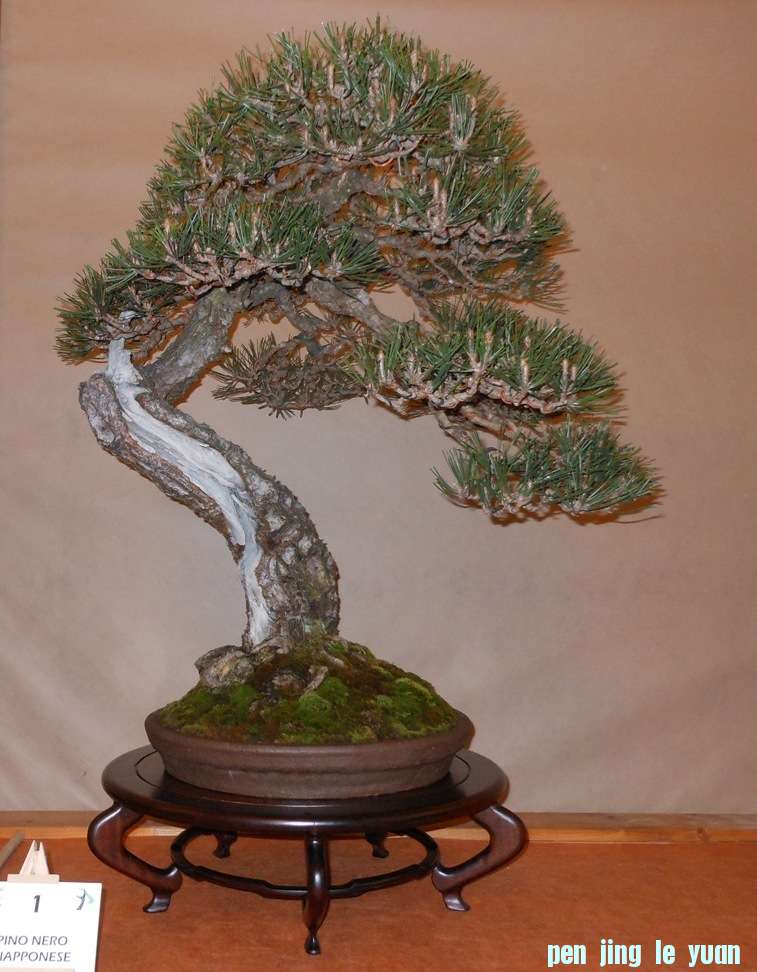 201257102012_DSCN1380.jpg