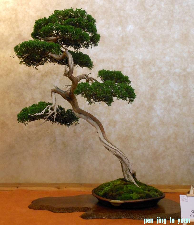 201257102146_DSCN1387.jpg