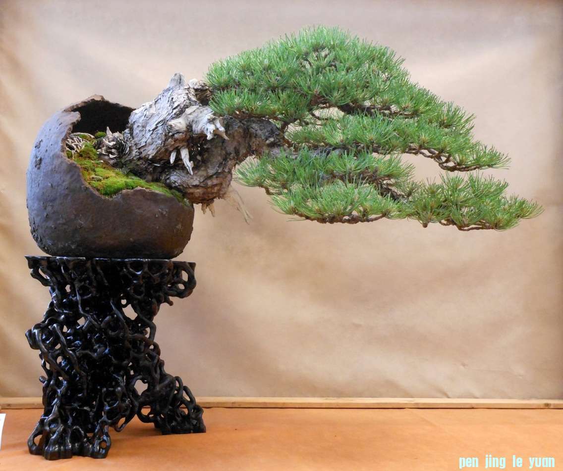 201257102211_DSCN1388.jpg