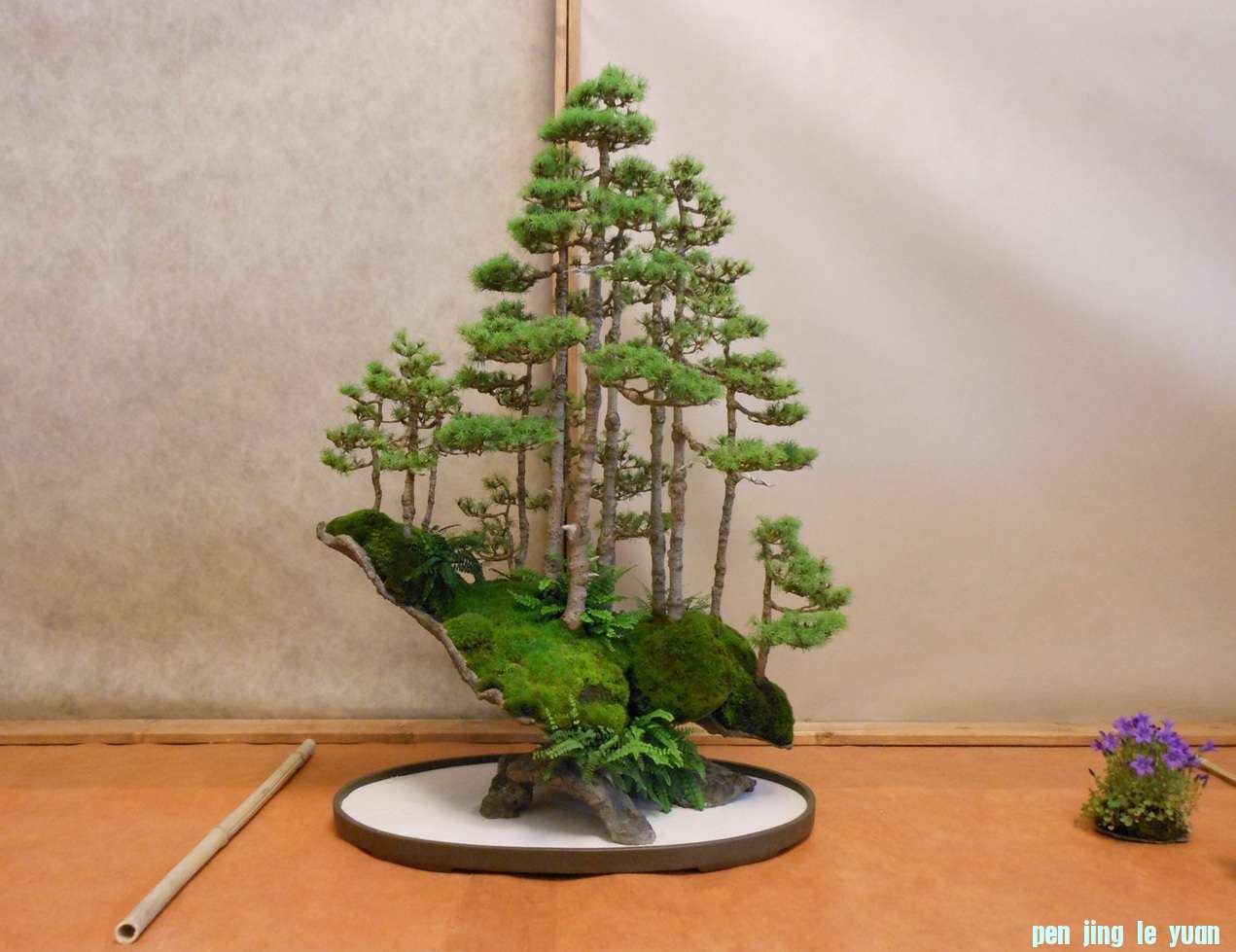 201257102234_DSCN1391.jpg