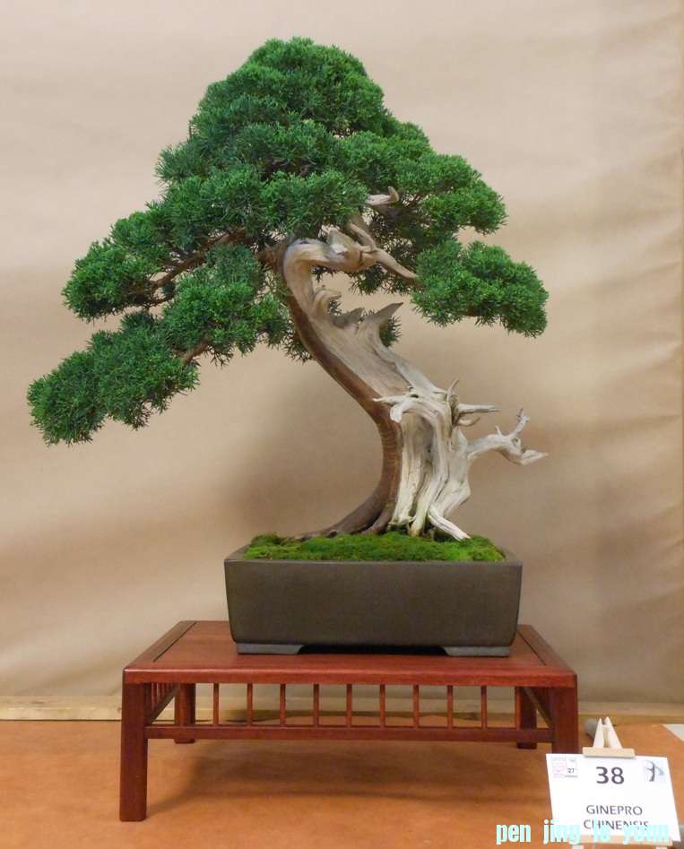 201257102325_DSCN1394.jpg