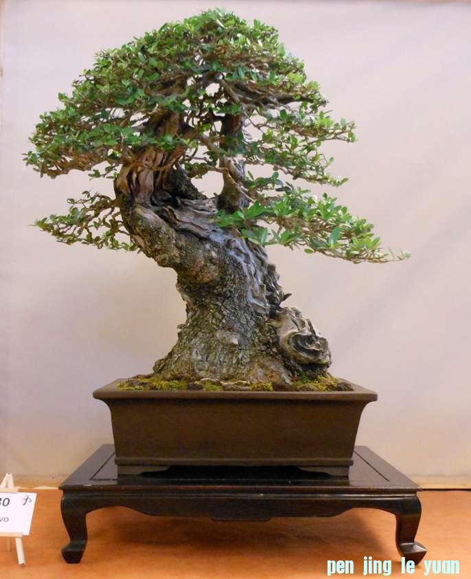 201257102345_DSCN1395.jpg