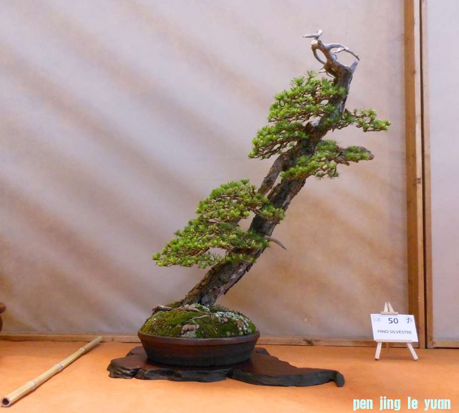 201257102453_DSCN1406.jpg