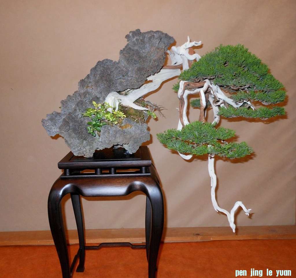 201257102615_DSCN1419.jpg