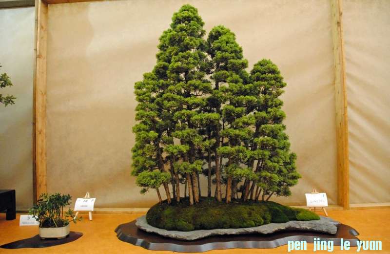 201257102857_dsc_0044.jpg