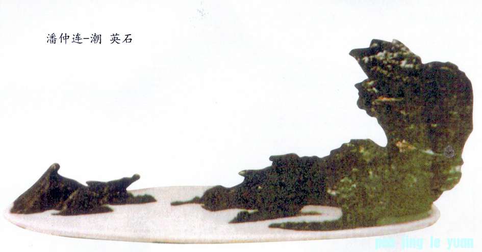 - Ӣʯ.jpg