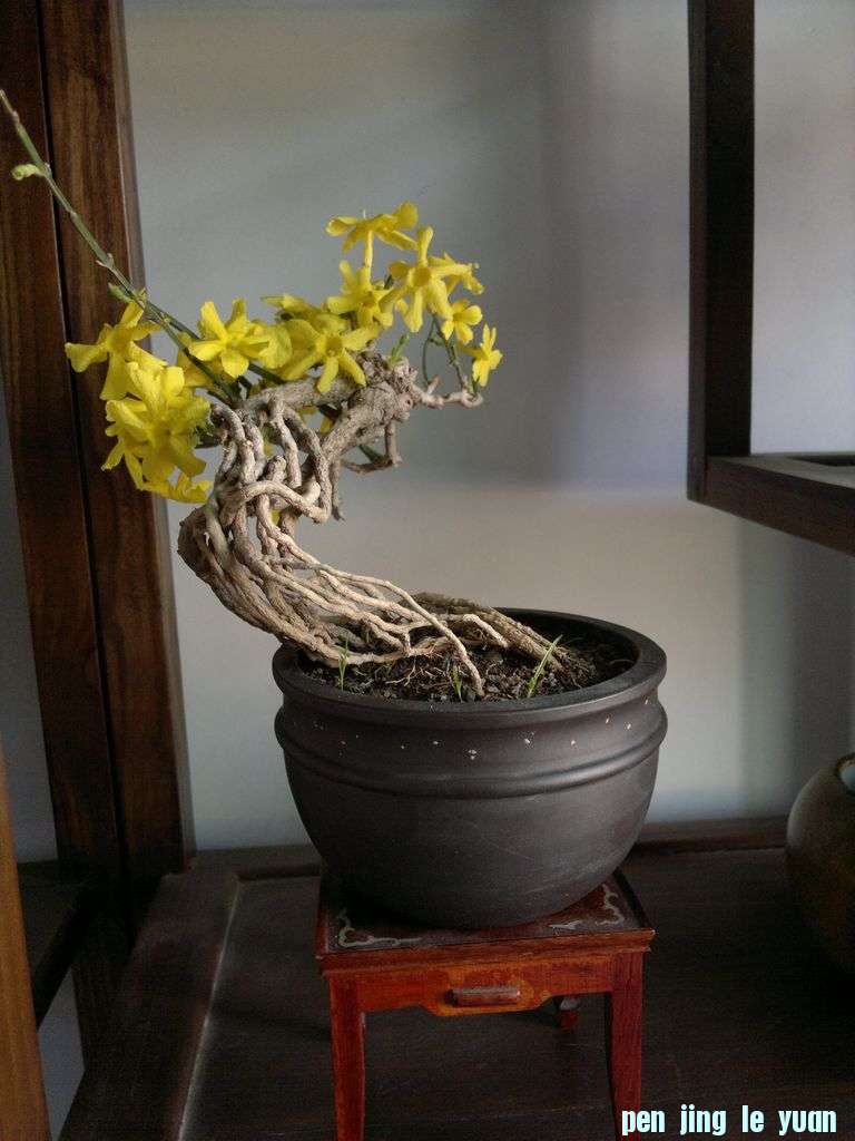 20130125016.jpg