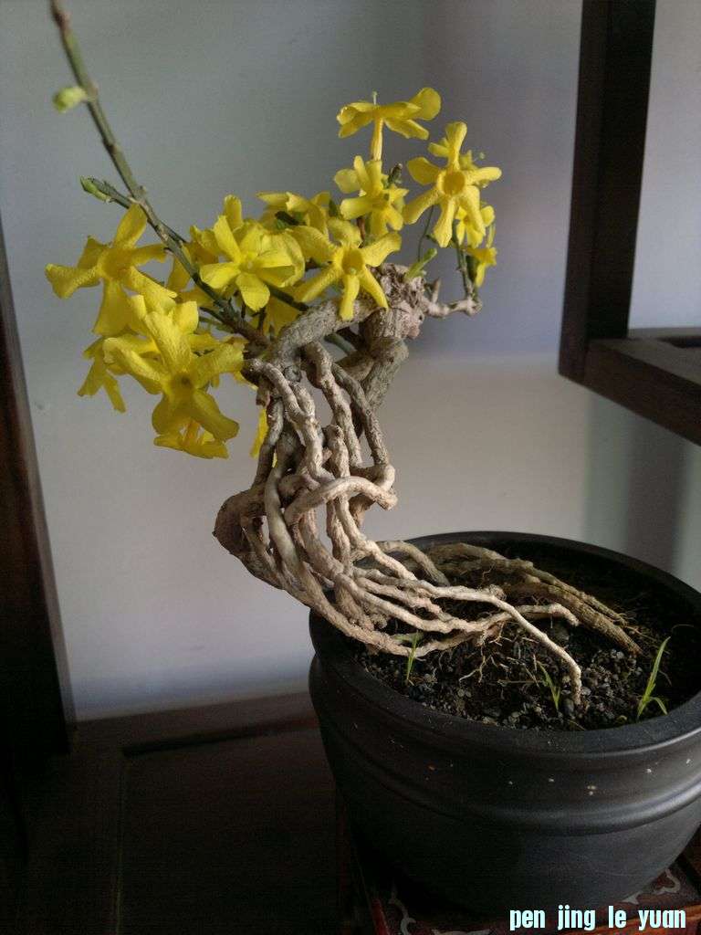 20130125017.jpg
