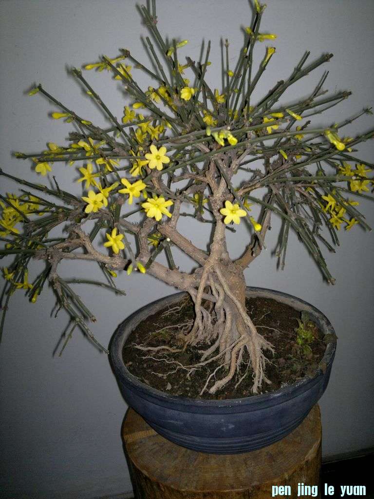 20130125019.jpg