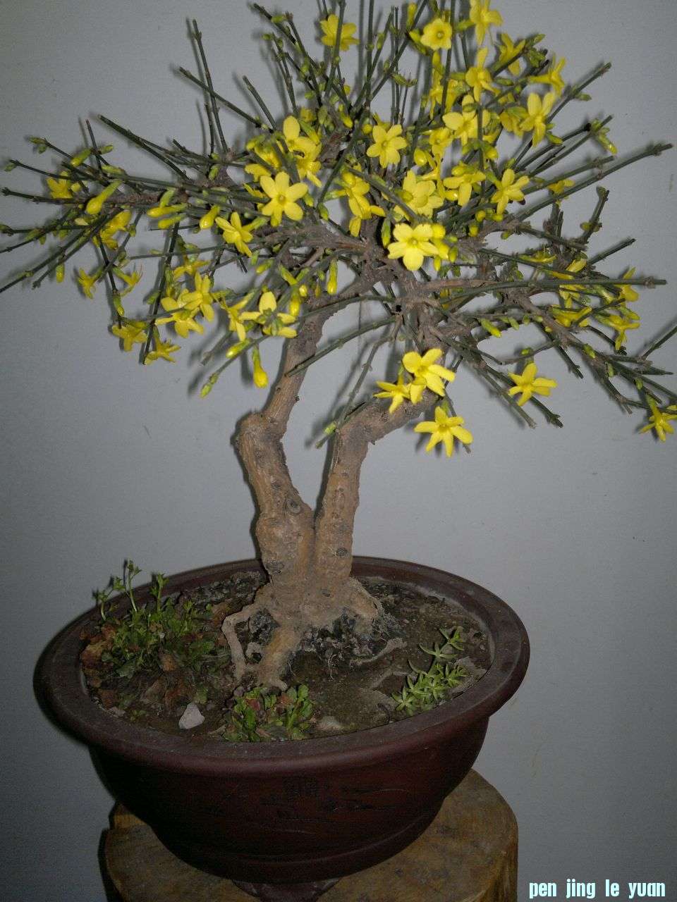20130125022.jpg
