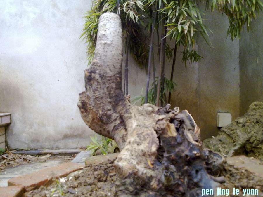20121221171.jpg