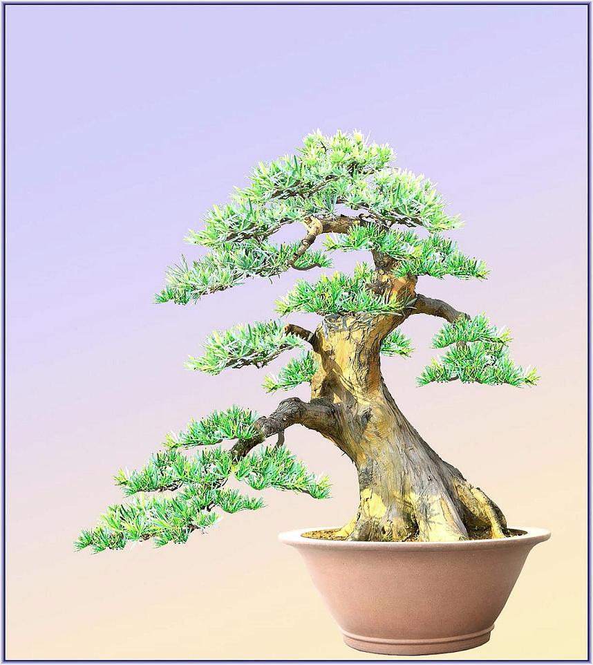 �����Ŀ��ͼ.���������.���Ѻ���������Ժϳ�