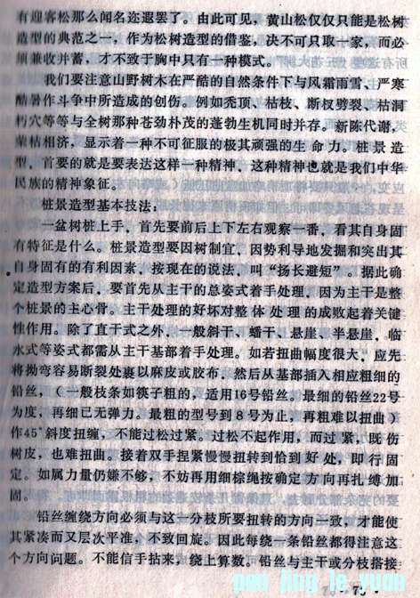 辰̷Ƭϡ18.jpg