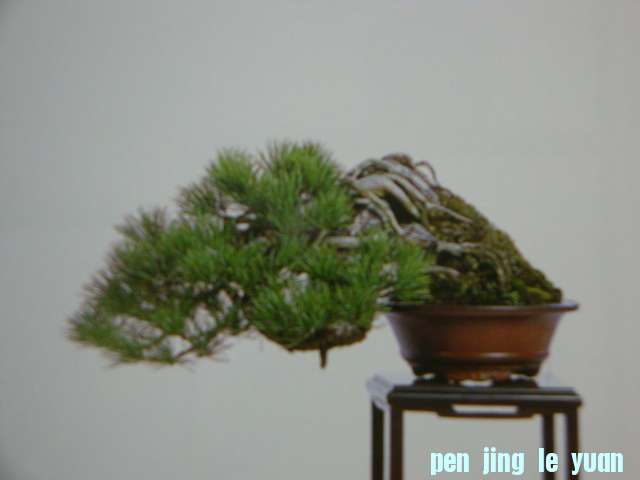 DSC09701.JPG