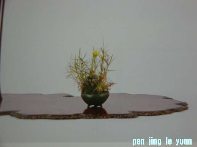 DSC09703.JPG