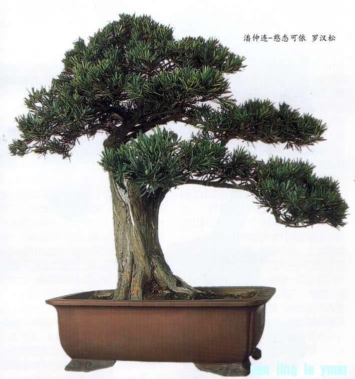 -̬ ޺.jpg