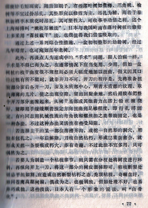 辰̷Ƭϡ22.jpg
