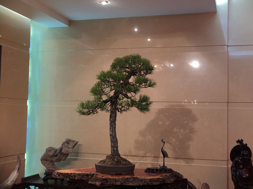 DSCF9069.jpg